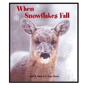 BUNDLE & SAVE ❄️When Snowflakes Fall Board Book